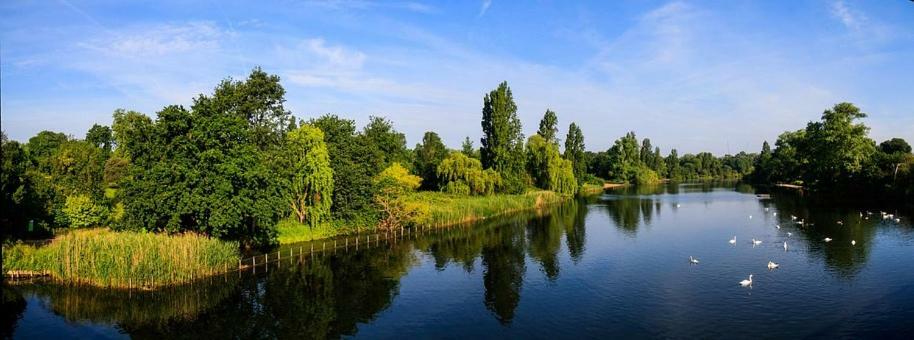 Chelsea Apartments Londra Dış mekan fotoğraf